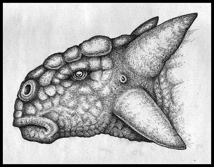 ankylosaurus head