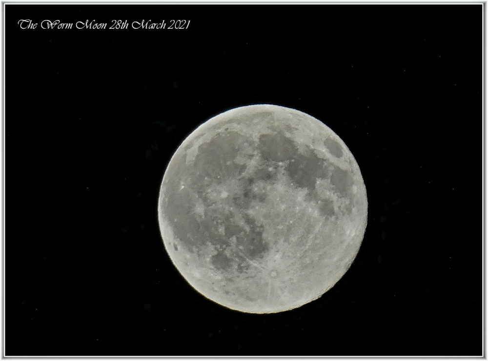 The Worm Moon 28th March 21 by Susan F. M. T.
