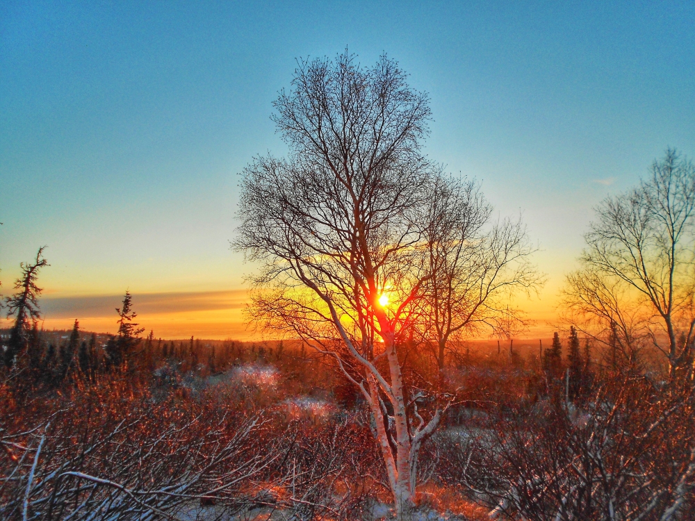 Sunset On The Hillside by alaskapat