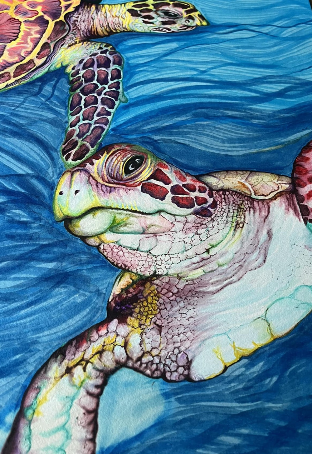 Sea Turtles by BACartwork